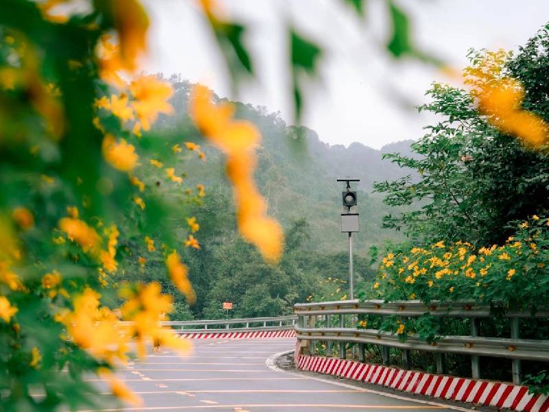 kinh nghiem ngam hoa da quy ba vi