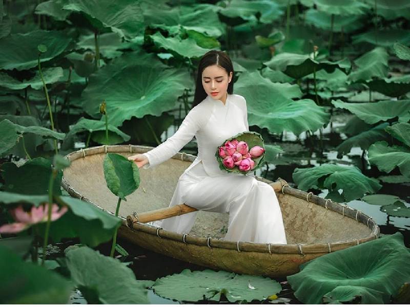 Chụp ảnh Hoa Sen Hà Nội