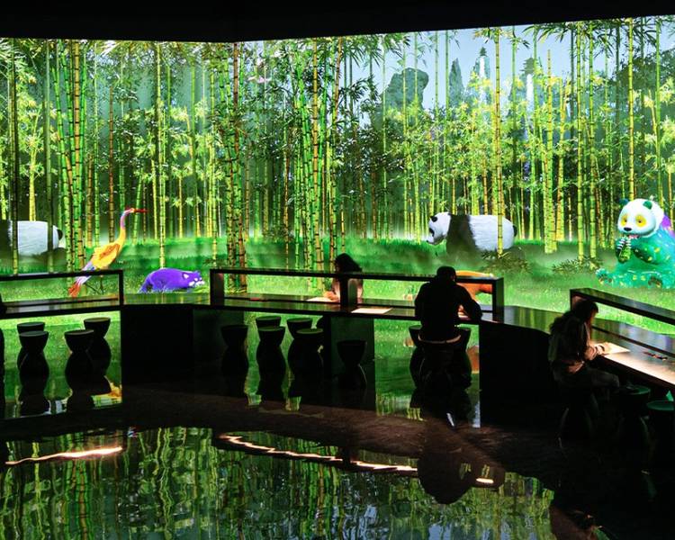 Live Sketchbook tại Arte Museum Jeju là nơi để các họa sĩ tài bài trổ tài hội họa.