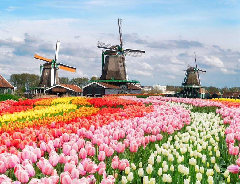 Du khách sẽ lạc lối giữa thiên đường tulip đầy màu sắc tại Hà Lan. 