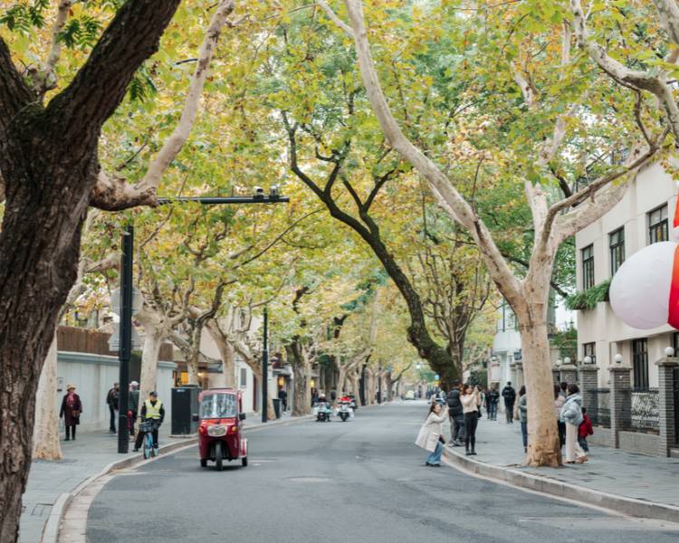 Anfu Road là một trong những con đường được giới trẻ Thượng Hải ghé đến để check-in.