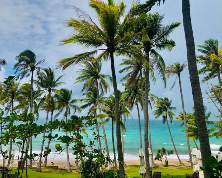 Bãi Trào với bãi biển tuyệt đẹp mà bạn không nên bỏ lỡ tại Hòn Thơm.