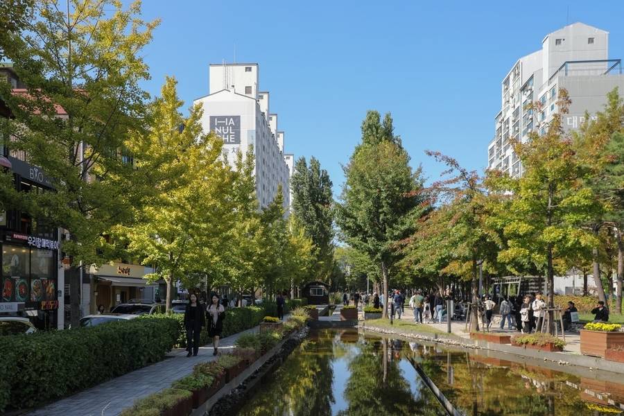 Khu Yeonnam dong yên bình giữa lòng Seoul. 