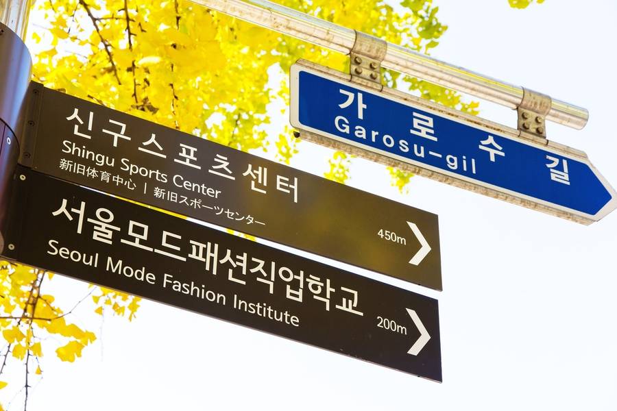 Phố mua sắm Garosugil nằm ngay tại trung tâm của quận Gangnam. 

