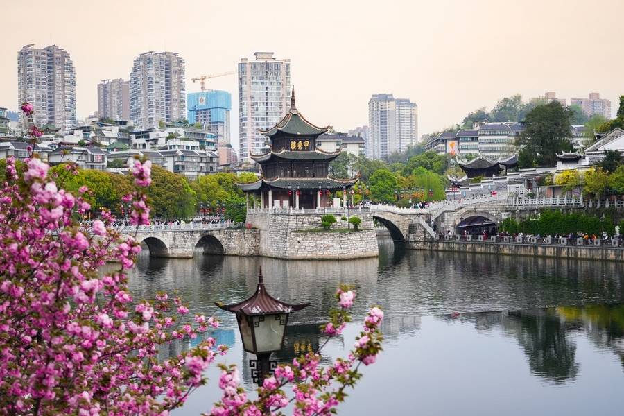 Muôn hoa khoe sắc vào mùa xuân tại Quý Dương Trung Quốc. 

