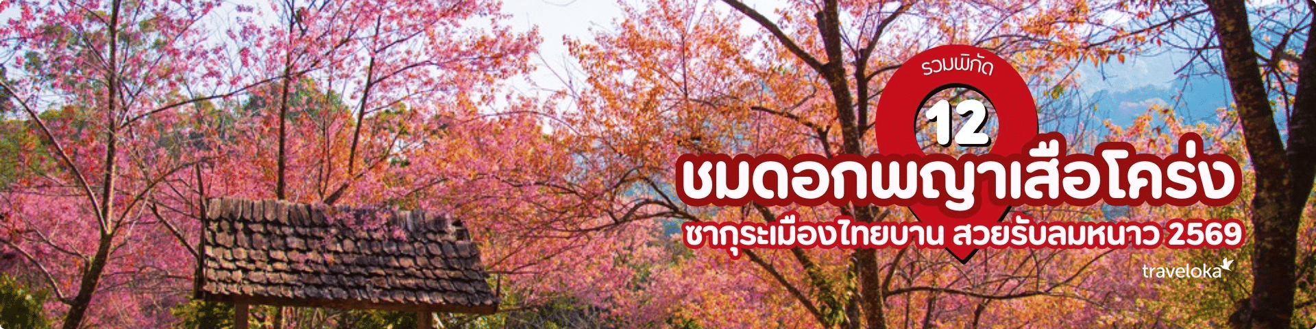 ดอกพญาเสือโคร่ง