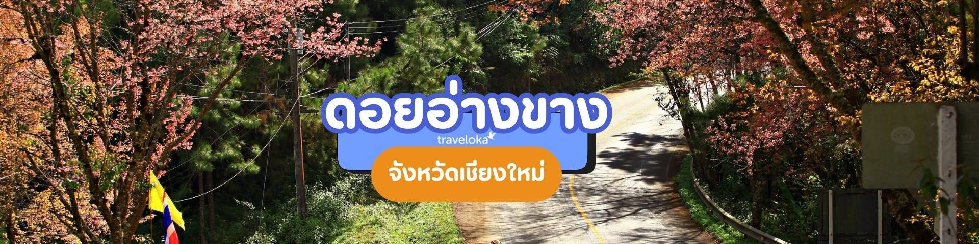 ที่เที่ยวดอยอ่างขาง