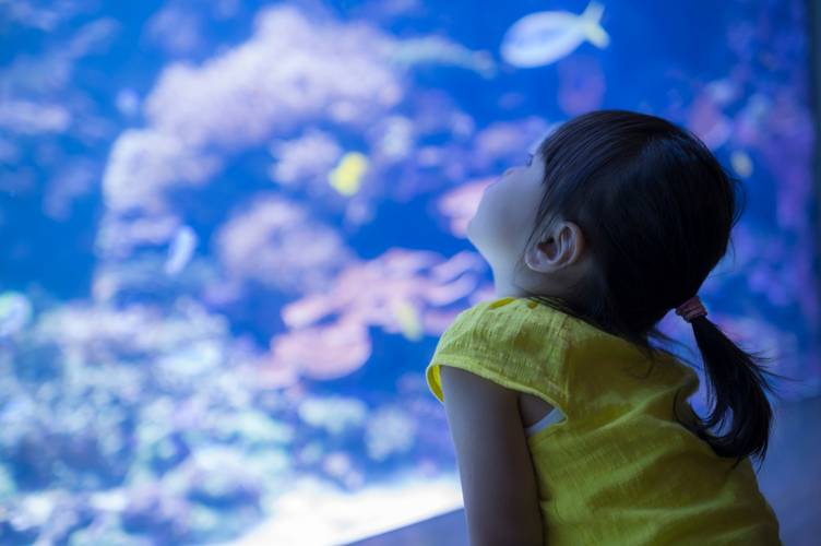 wisata aquarium malang