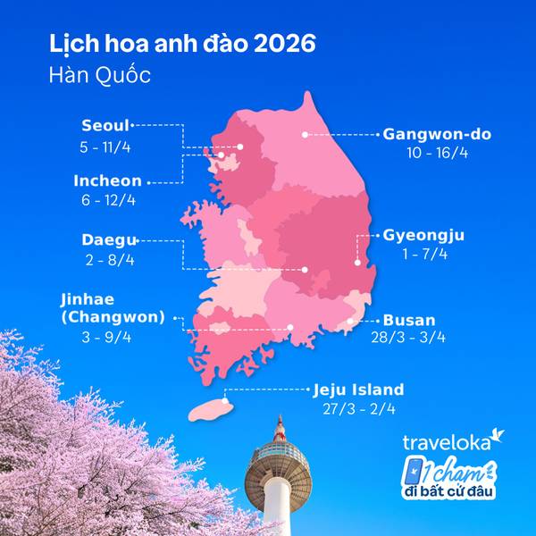 Mùa hoa anh đào Hàn Quốc