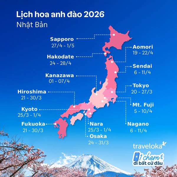 Mùa hoa anh đào Nhật Bản