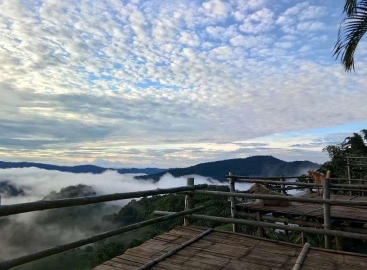 ภูสวรรค์ ตะวันสวย รีสอร์ท