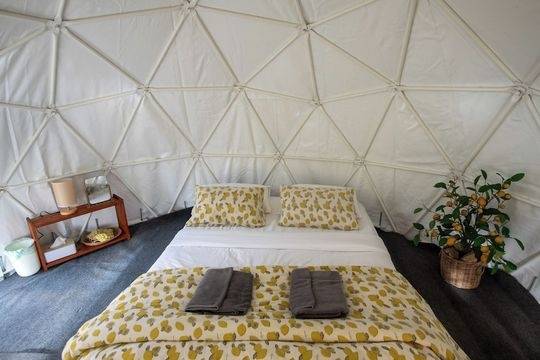 Doi Inthanon Tea Farmstay