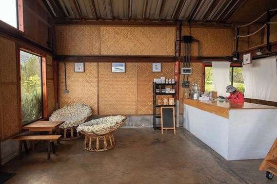 Doi Inthanon Tea Farmstay