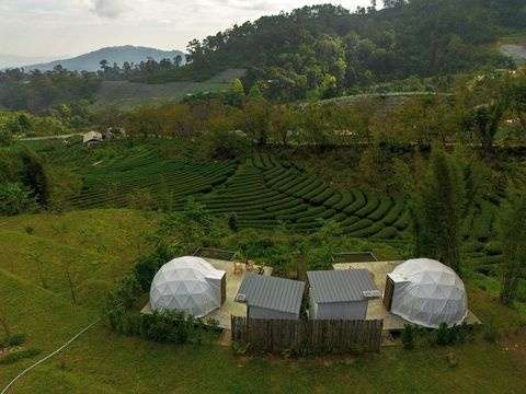 Doi Inthanon Tea Farmstay