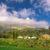 Doi Inthanon Tea Farmstay
