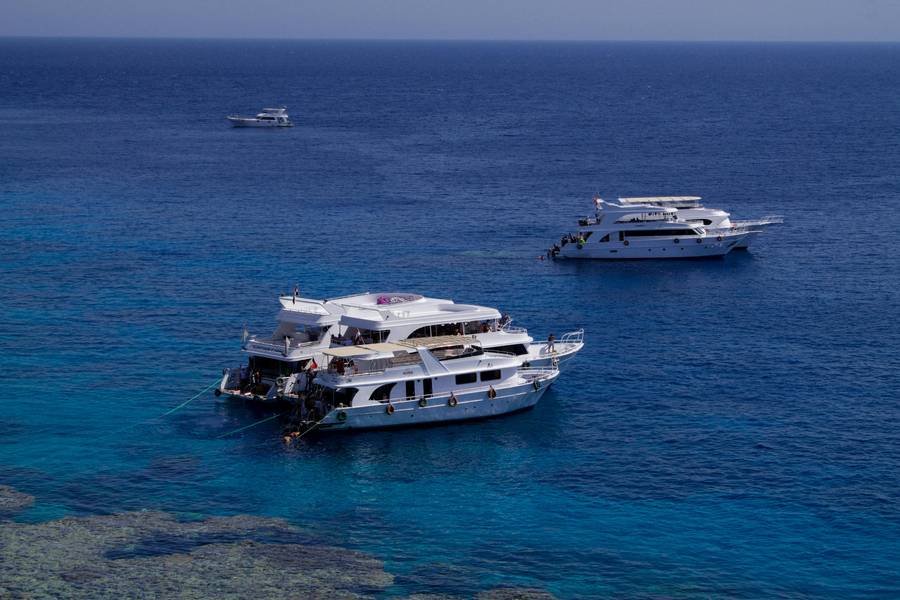 Red Sea