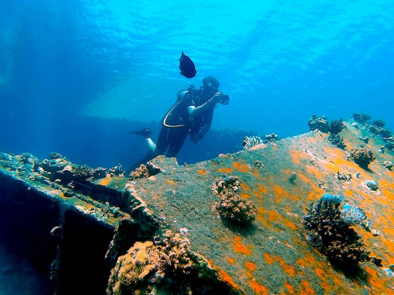 Red Sea