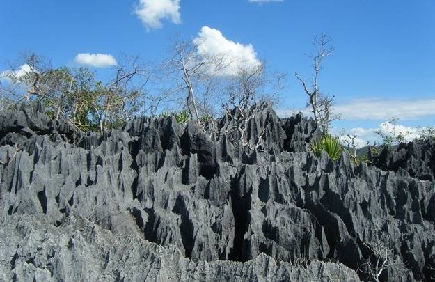  ลานหนุมาน (เขาปะการัง)