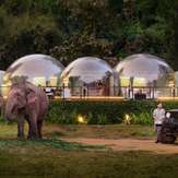 Anantara Golden Triangle Elephant Camp & Resort