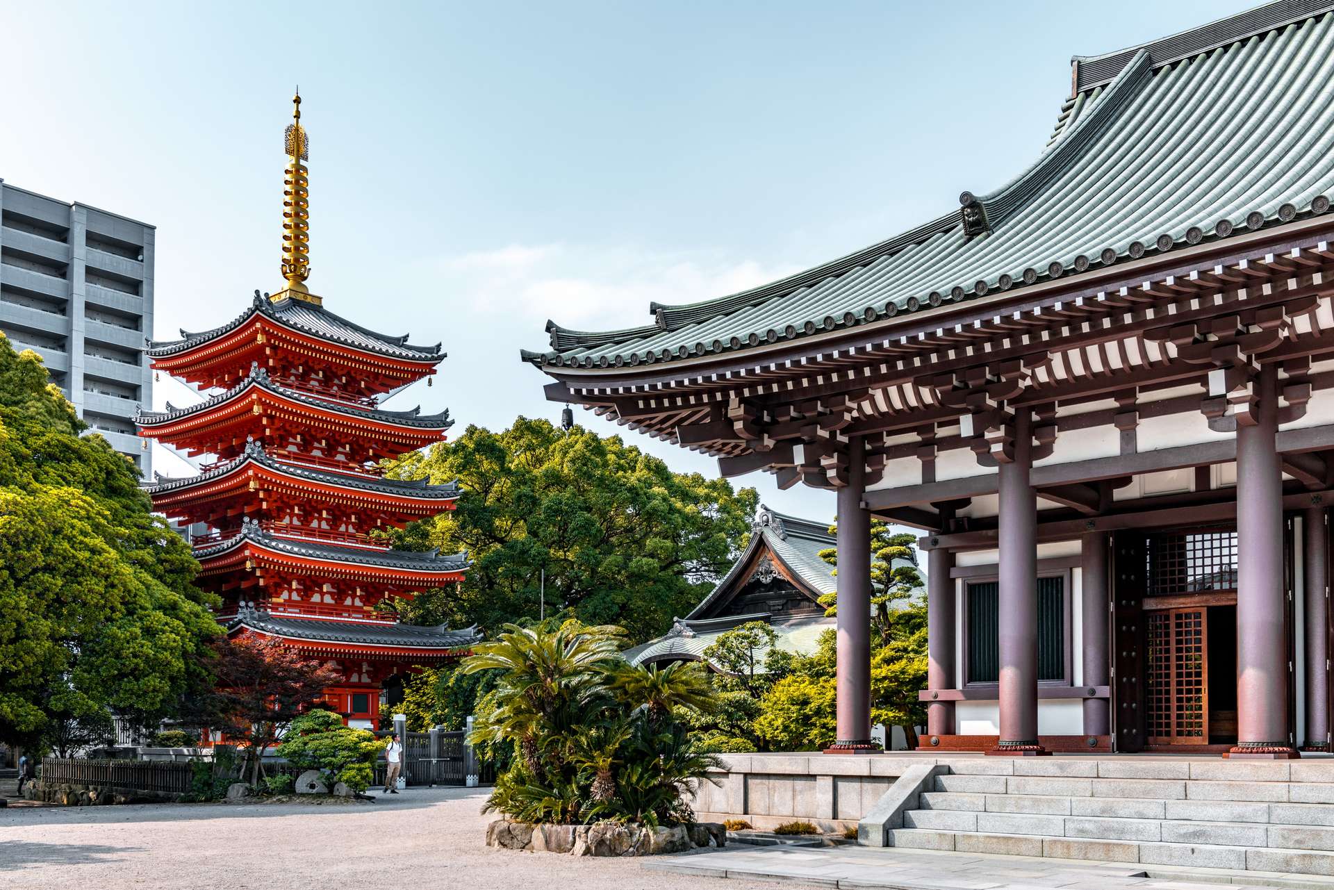 Hành Trình Ẩm Thực Kyushu 7 Ngày: Khám Phá Những Hương Vị Khó Quên của Nhật Bản, Traveloka Team