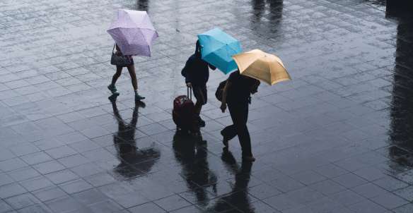 India's Rainy Season: Which Monsoon to Chase, Where to Go, and How to Travel Smart, Traveloka Team