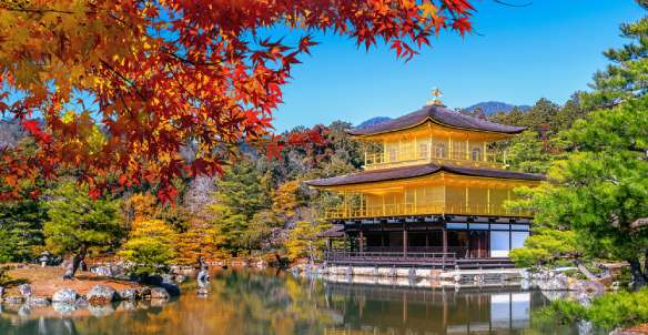 Tokyo in November: Golden Ginkgos, Crimson Maples, and the Best Weather of the Year, Traveloka Team