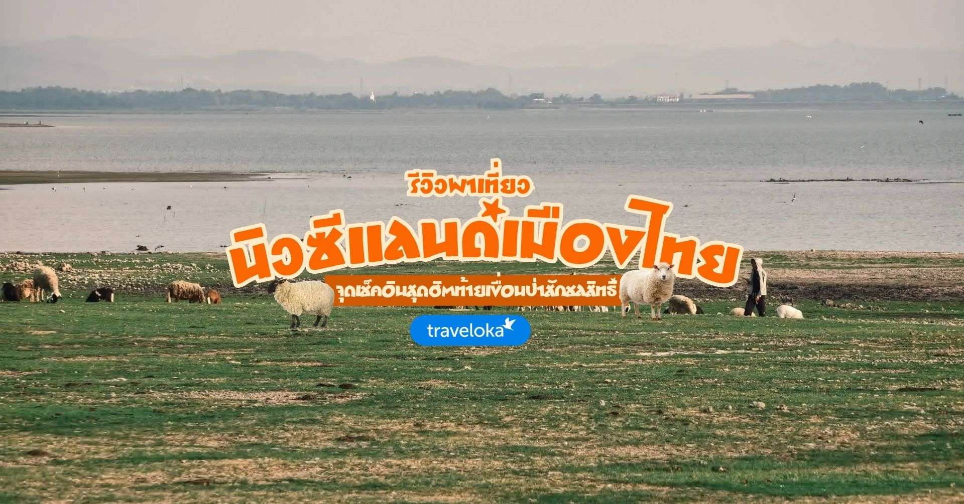 [รีวิว] นิวซีแลนด์เมืองไทยพร้อมจุดไฮไลท์และกิจกรรมแนะนำ, ใช้เวลาอ่านประมาณ 4 นาที