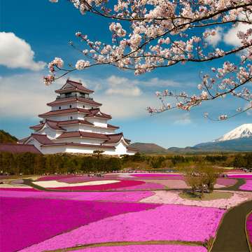 Tokyo