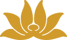 Vietnam Airlines logo