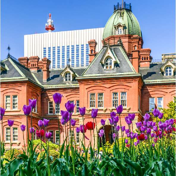Singapore - Sapporo, All Nippon Airways