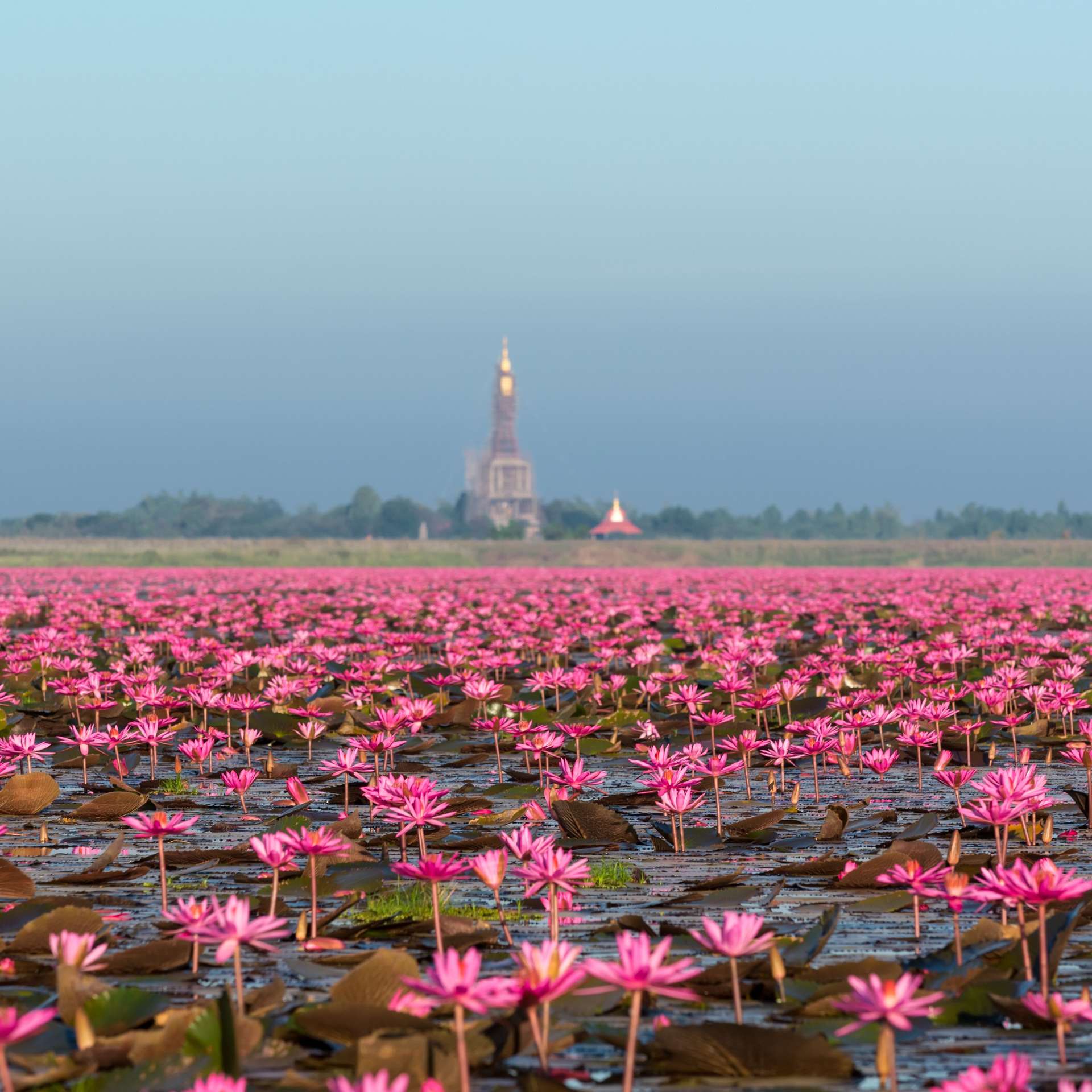 Bangkok - Udon Thani, From