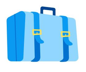 Cabin Baggage