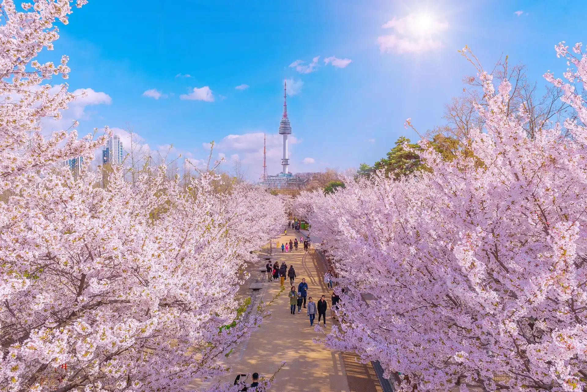 Seoul