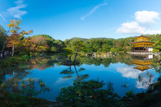 Kyoto and Nara Tour from Osaka, THB 6,267.80