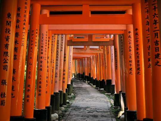 Kyoto Tour from Osaka, THB 5,607.40