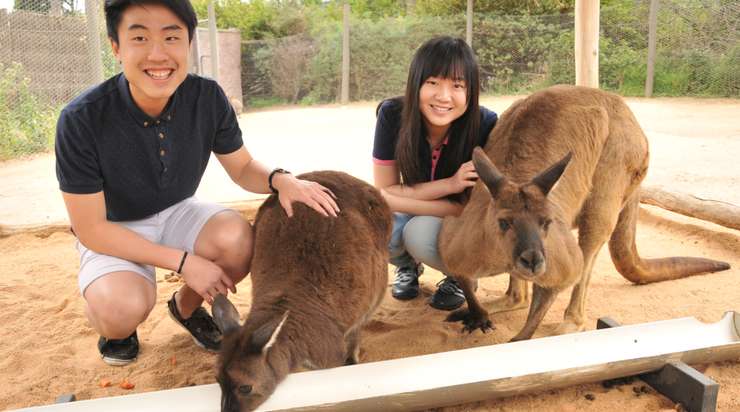 メルボルン動物園のチケット 2