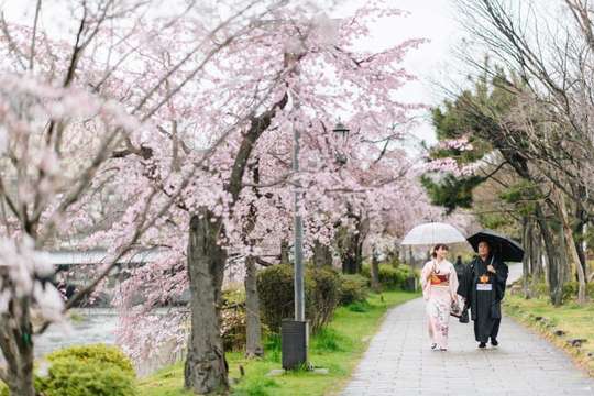 Kimono Photosession in Kyoto