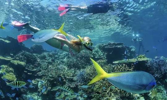 Great Barrier Reef Scenic Flight & Cruise Packages