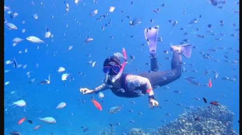 Snorkeling Experience in Ishigaki Island