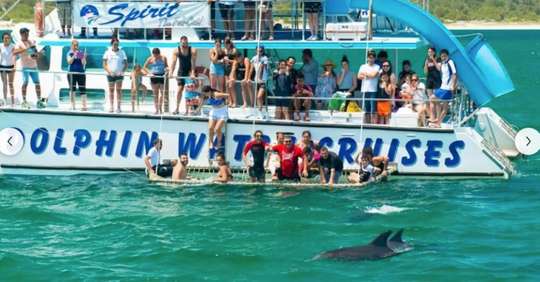 Port Stephens Dolphin Watching Cruise