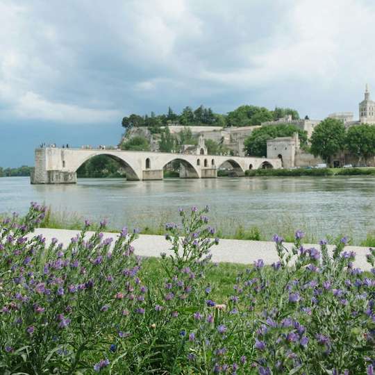 Palais des Papes & Pont d’Avignon: Tiket Masuk