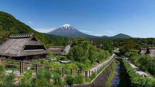 One-Day Tour of Mount Fuji West Lake Healing Reagan Field