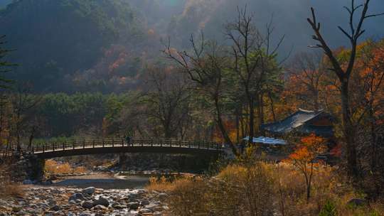 Mount Seorak and Naksansa Temple Tour from Seoul, AU$105