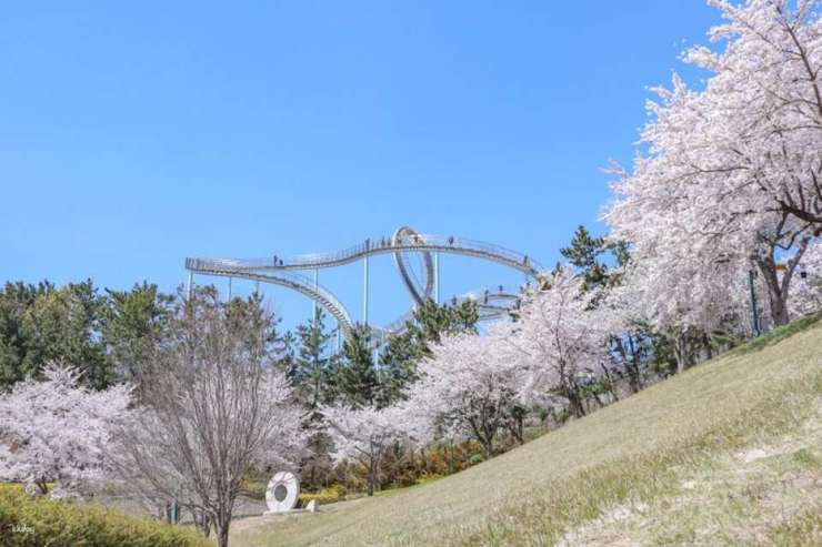浦項日帰りツアー｜湖水公園周辺の宇宙散歩、九龍浦の日本家屋の道、虎尾岬（釜山発） 3