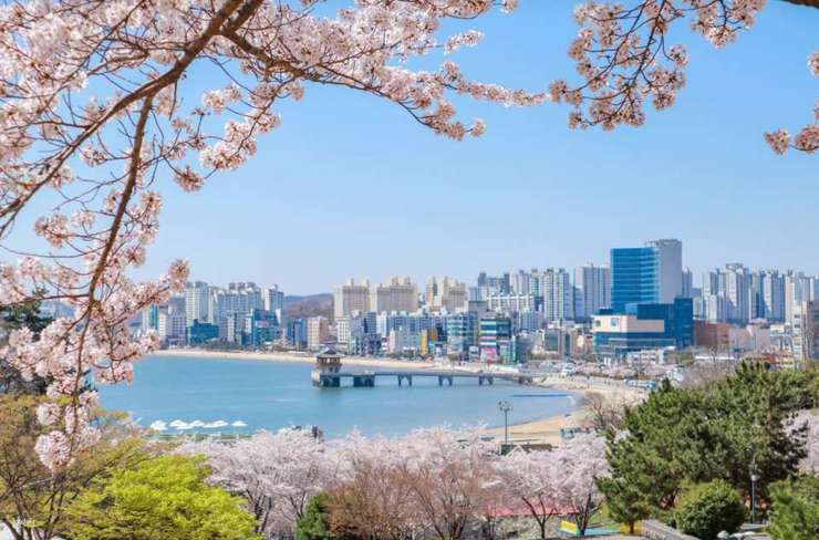 浦項日帰りツアー｜湖水公園周辺の宇宙散歩、九龍浦の日本家屋の道、虎尾岬（釜山発） 1