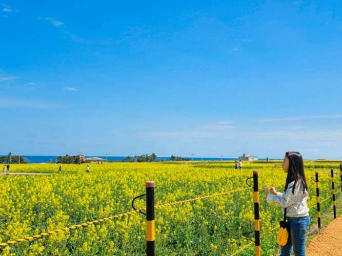 浦項日帰りツアー｜湖水公園周辺の宇宙散歩、九龍浦の日本家屋の道、虎尾岬（釜山発） 3