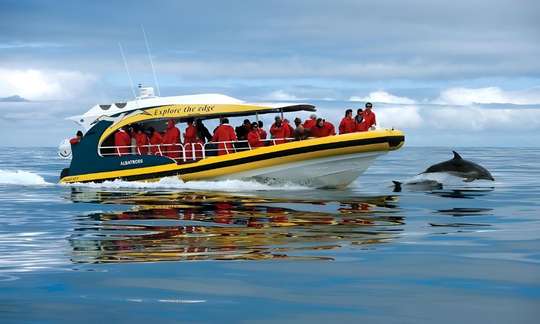 Bruny Island Cruises 3 Hour Wilderness Cruise