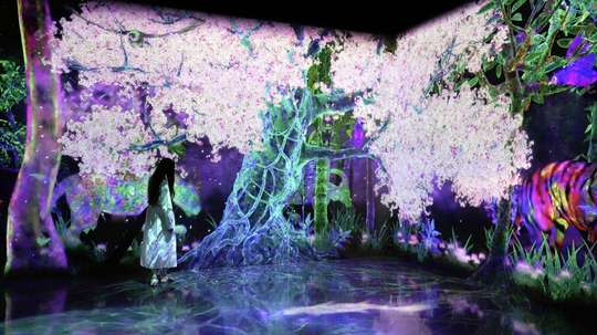 teamLab Forest Fukuoka Tickets