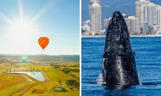 Gold Coast Hot Air Balloon & Sea World Whale Watching