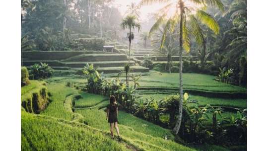 Private trip 3D2N Bali, Min 2pax, S$107